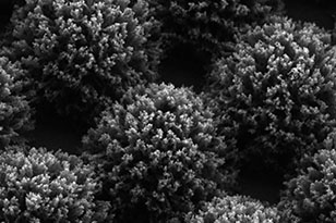 河南河南蔡司显微镜